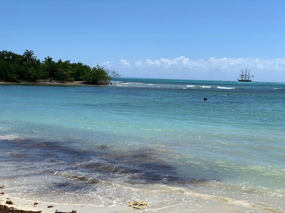 Résidence Village Viva Bas du Fort Le Gosier  Esterno foto