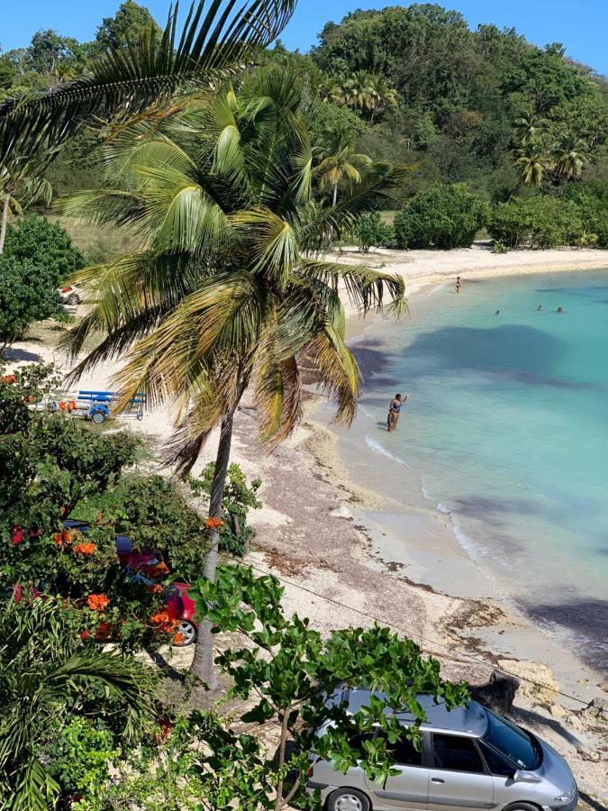Résidence Village Viva Bas du Fort Le Gosier  Esterno foto